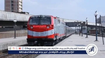 تفاصيل اليوم.. مواعيد قطارات أسوان الجمعة 23 يناير 2026